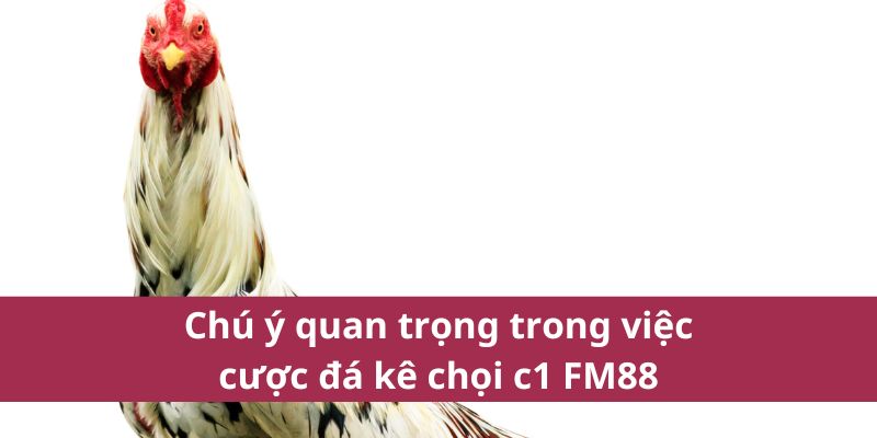 đá gà C1